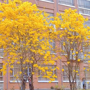 我爱搞52G,Abb_u3mp4
